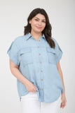 Plus Stripe Collared Button Down